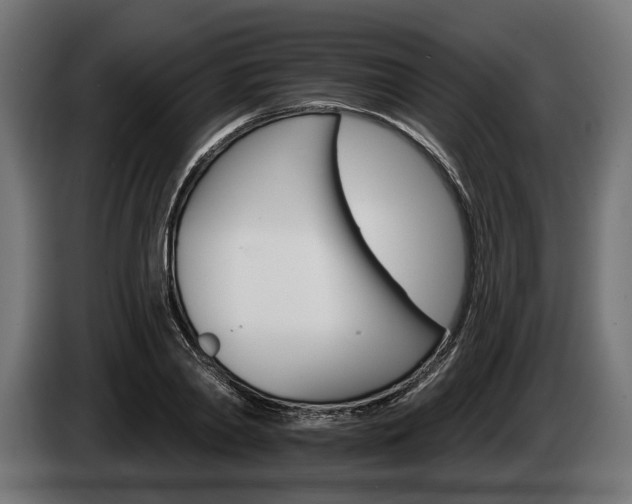 X0000084520790200703021354