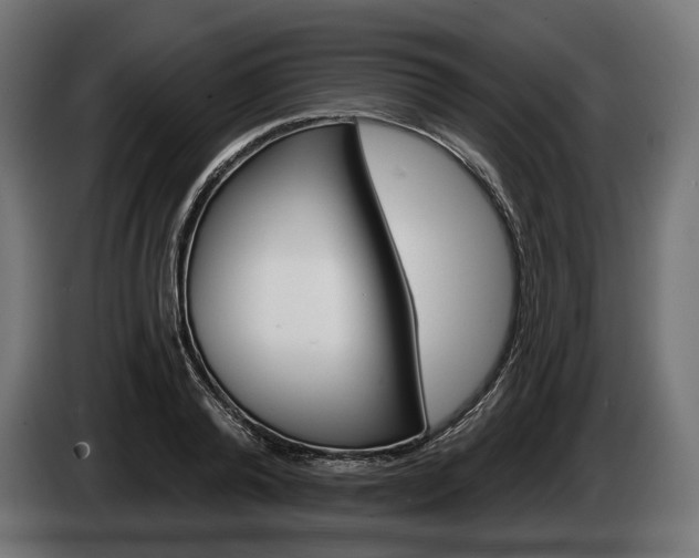 X0000084520792200703021354