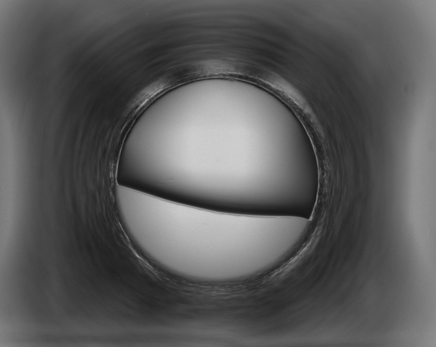 X0000084520793200703021354