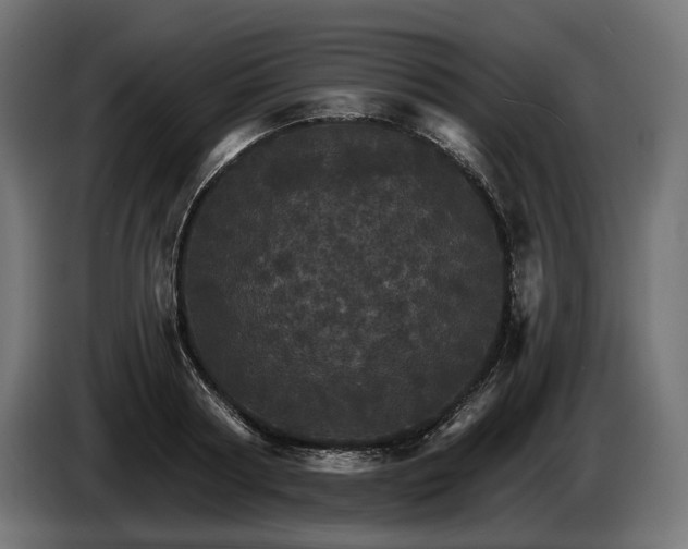 X0000084520794200703021354