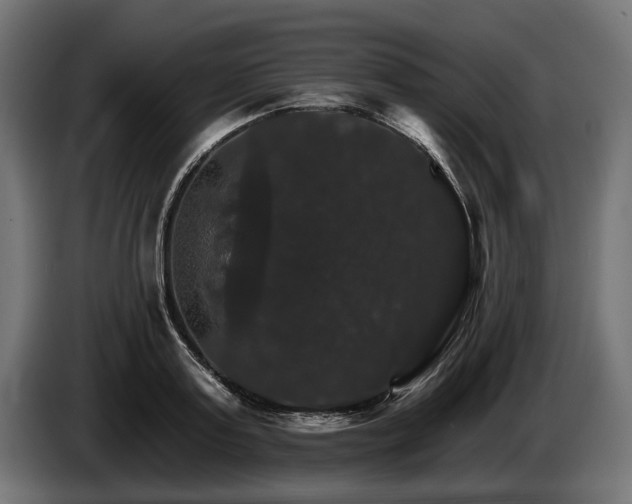 X0000084520795200703021354