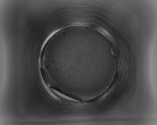 X0000084520796200703021354