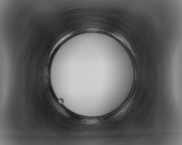 X0000084520798200703021354