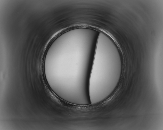 X0000084520799200703021354