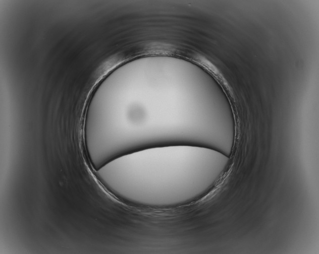 X0000084520802200703021354