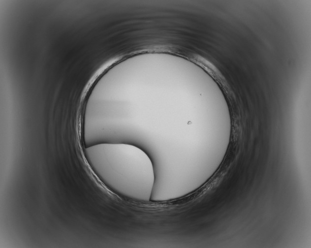 X0000084520804200703021354