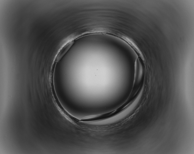 X0000084520805200703021354