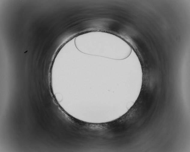 X0000084520807200703021354