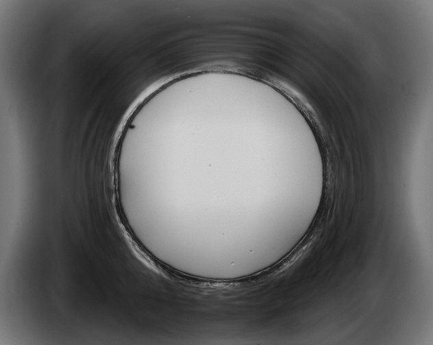 X0000084520808200703021354