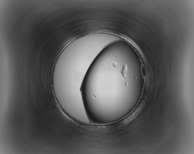 X0000084520809200703021354