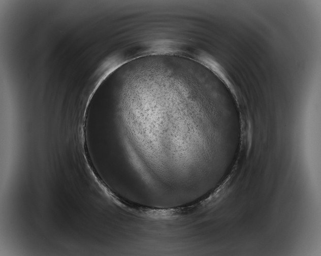 X0000084520810200703021354