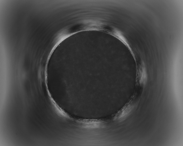 X0000084520811200703021354