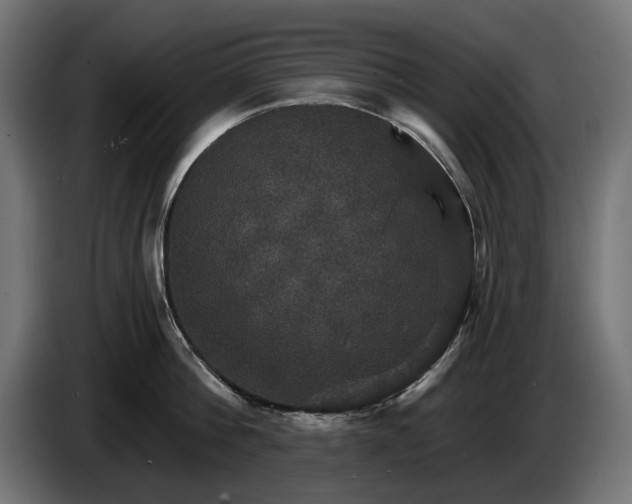 X0000084520812200703021354