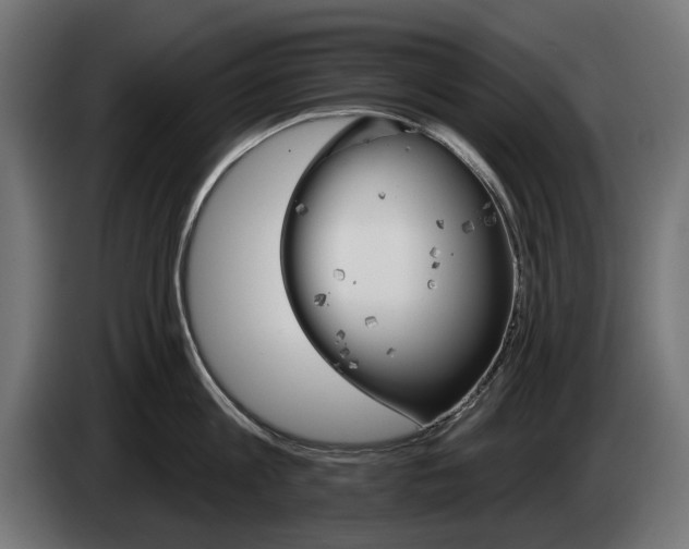 X0000084520813200703021354