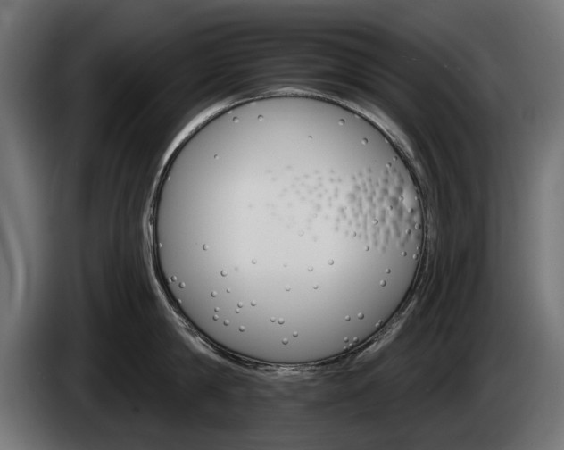 X0000084520814200703021354