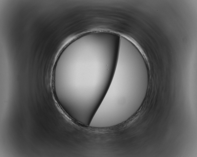 X0000084520815200703021354