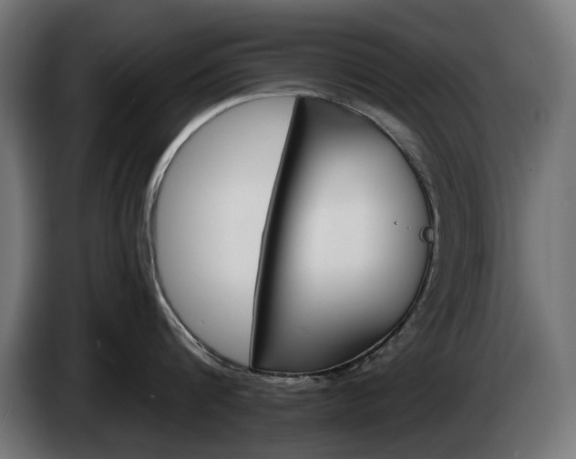 X0000084520816200703021354