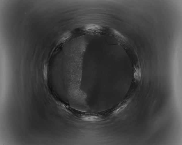 X0000084520819200703021353