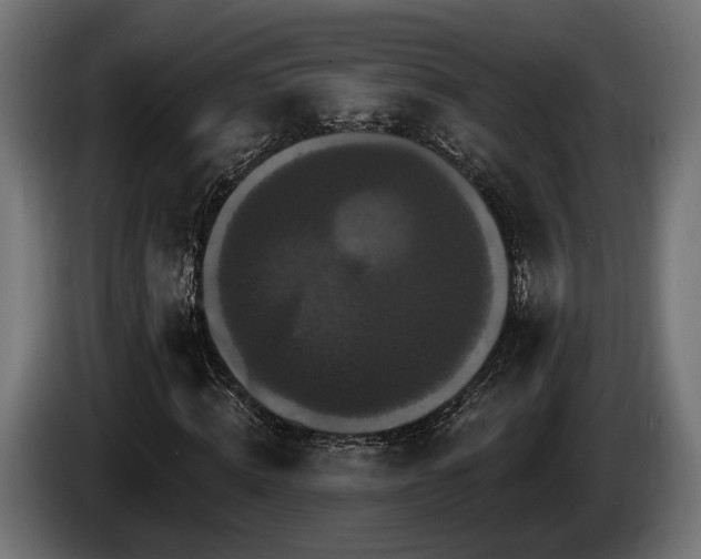 X0000084520820200703021353