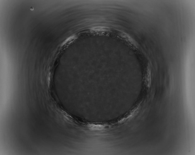 X0000084520821200703021353