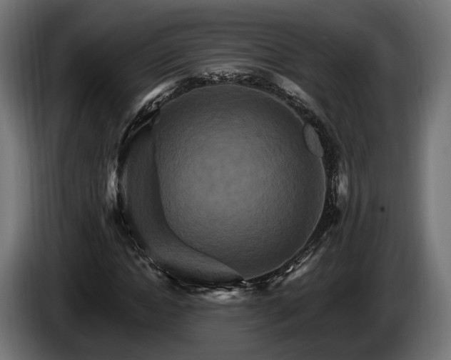 X0000084520822200703021353