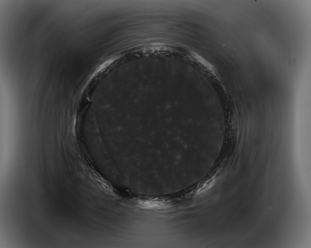 X0000084520823200703021353