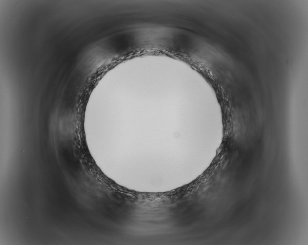 X0000084520824200703021353