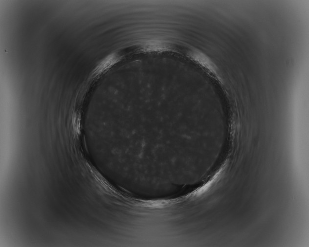 X0000084520825200703021353