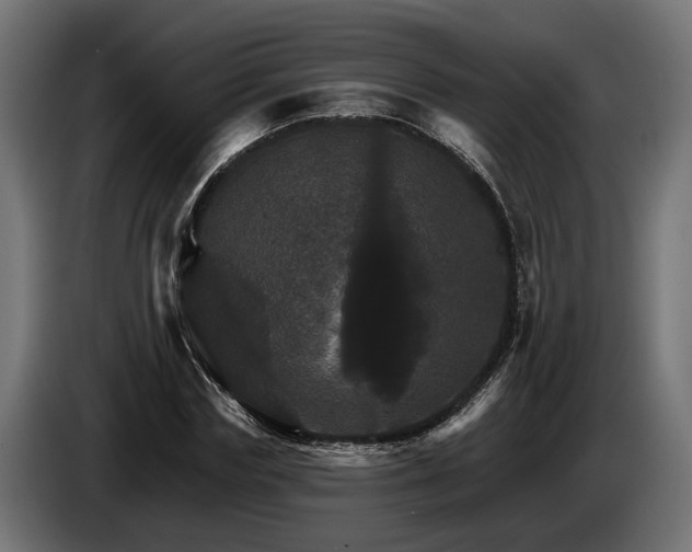 X0000084520827200703021353