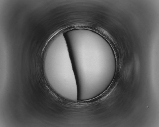 X0000084520829200703021353