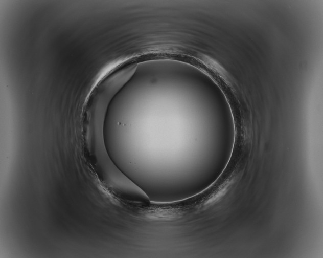 X0000084520830200703021353