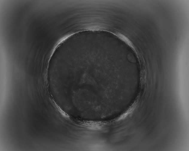 X0000084520831200703021353