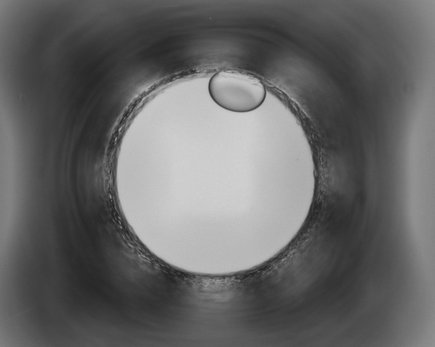 X0000084520832200703021354