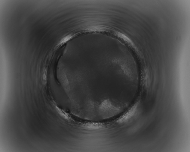 X0000084520833200703021354