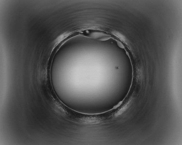 X0000084520834200703021354