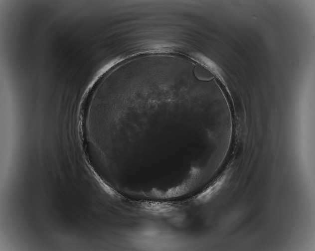 X0000084520835200703021354