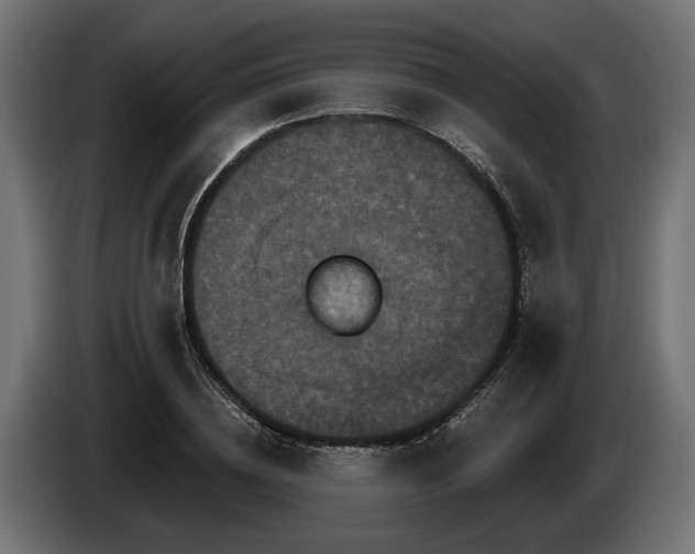 X0000084520836200703021354