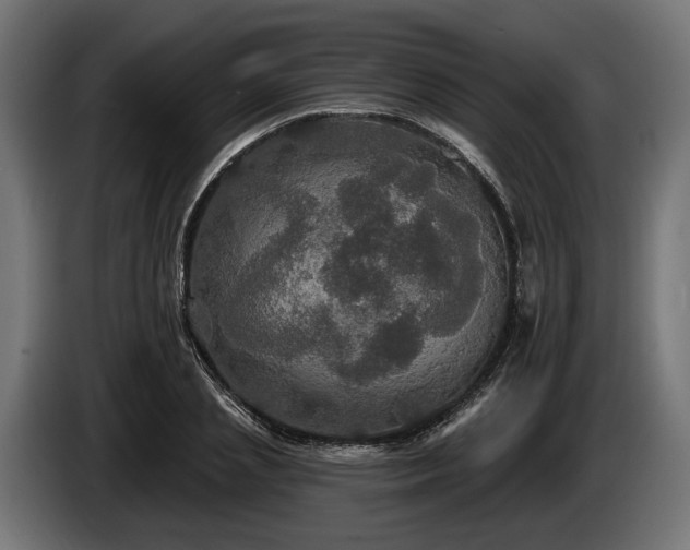 X0000084520837200703021354