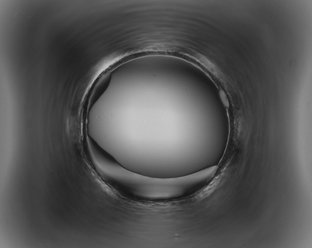 X0000084520838200703021354