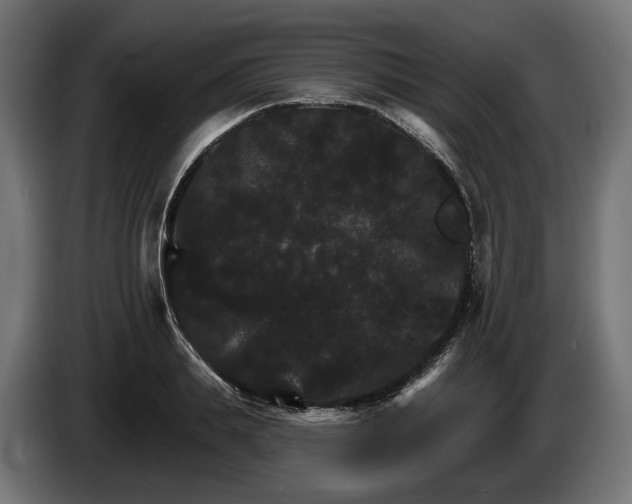 X0000084520839200703021354