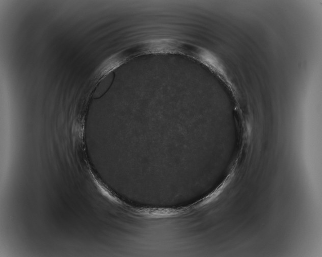 X0000084520841200703021354