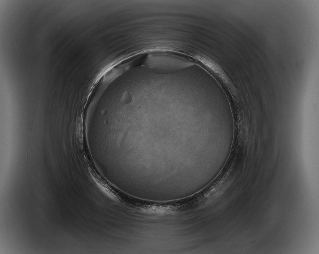 X0000084520842200703021354