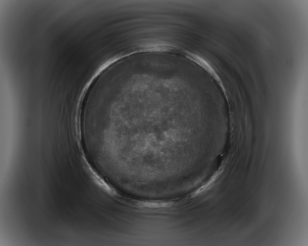 X0000084520843200703021354