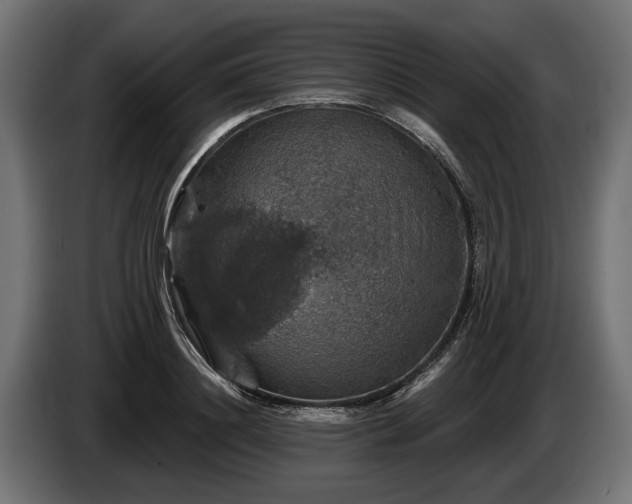 X0000084520844200703021354