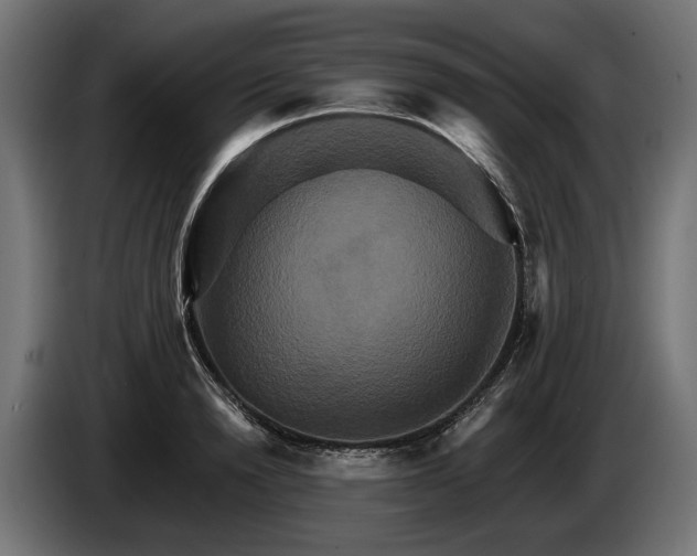 X0000084520846200703021354