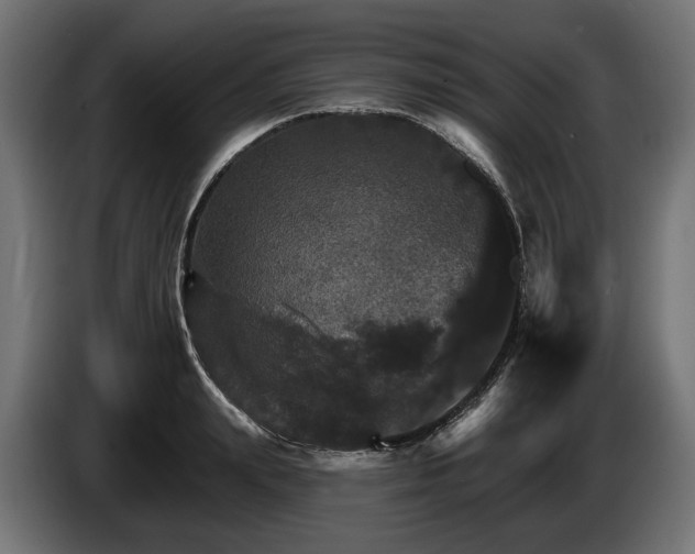 X0000084520847200703021354