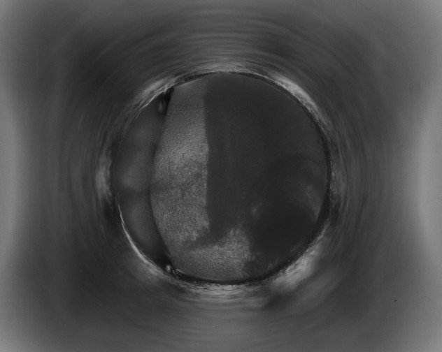 X0000084520849200703021354