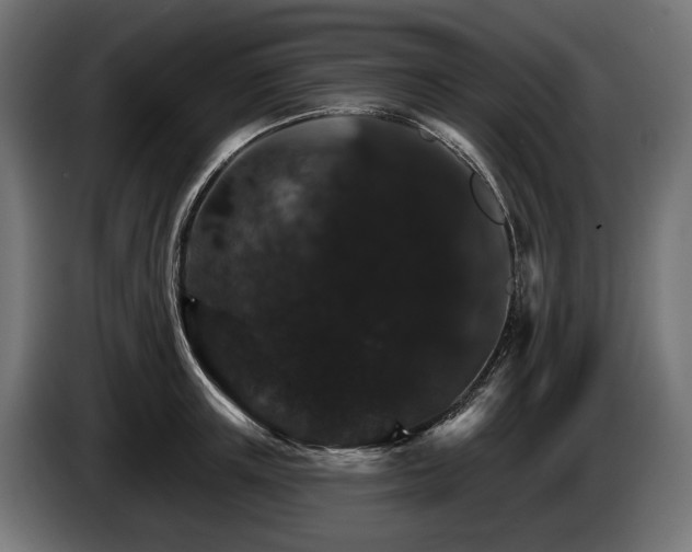 X0000084520851200703021354