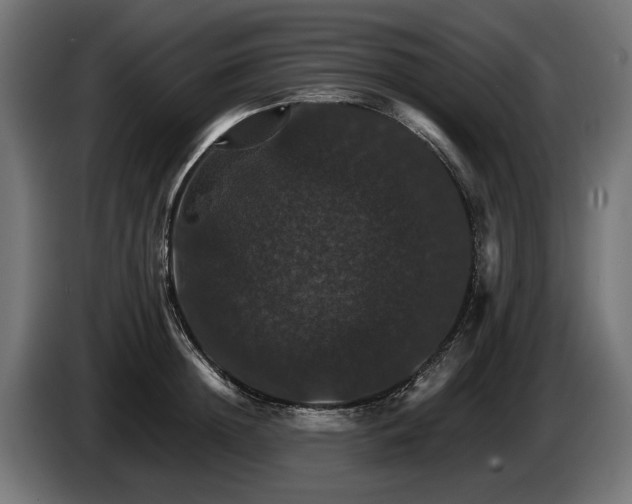 X0000084520852200703021354