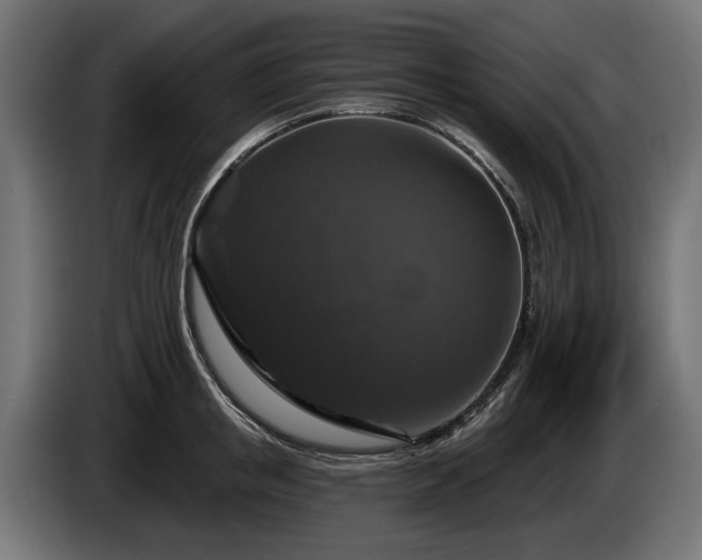 X0000084520853200703021354